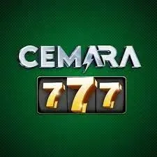 cemara777 APK Bingo